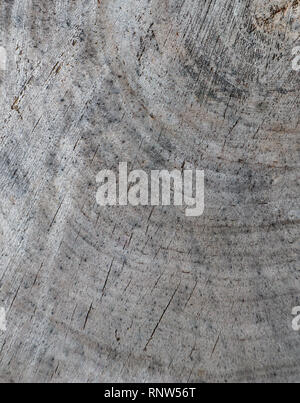 Background from cross section of tree trunk. Abstract texture from the rings of old weathered wood with a crack Stock Photo