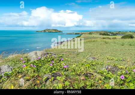 View leading to small island at Camp Pintade seashore, Rodrigues, Mauritius Stock Photo