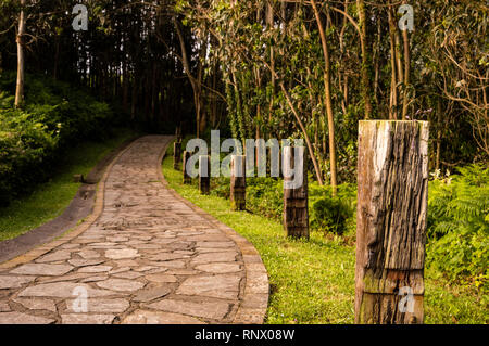 Winding stone road through sunny green forest illuminated by sunbeams, with railway sleepers on the side of the path.