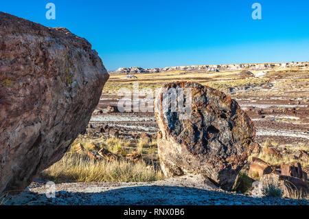 Petrified wood lies scattered on the ground in the Petrified Forest National Park in AZ. Stock Photo