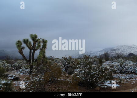 Snow in the desert mountains, Mohave County Arizona Stock Photo