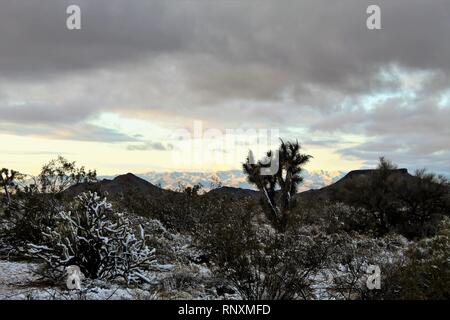 Desert snow winter storm Stock Photo
