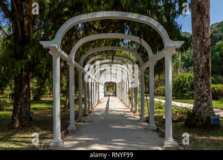 Botanic Garden in Rio de Janeiro Stock Photo