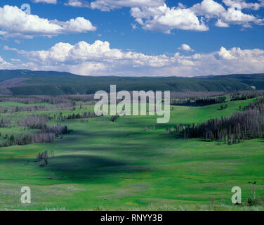 USA, Wyoming, Yellowstone National Park, Huge meadows and distant forest on north side of the Yellowstone River, from below trail to Mt. Washburn. Stock Photo