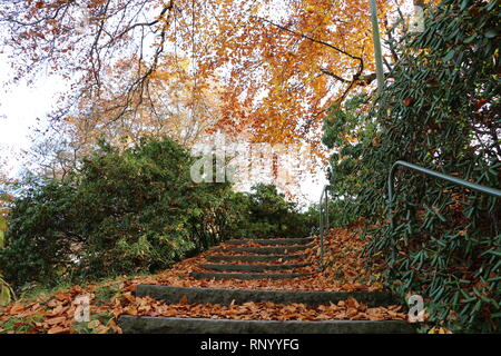 old stairs full of autumn leaves Stock Photo