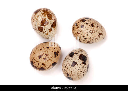 four quail eggs isolated on white background. Top view. Stock Photo