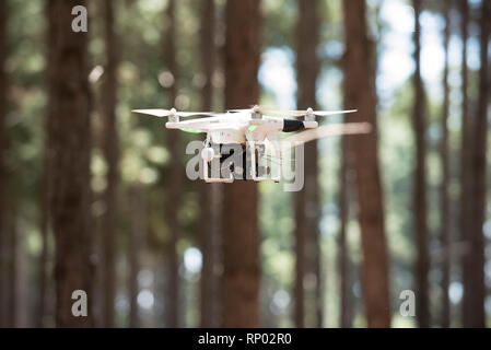 Drone flying in forest Stock Photo