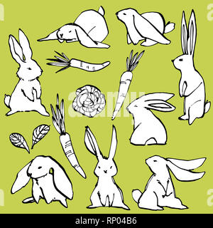 Collection of some cute rabbits, hand draw illustration. Draw illustration set character design of cute rabbit. Stock Photo