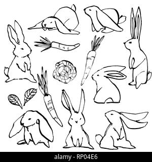 Collection of some cute rabbits, hand draw illustration. Draw illustration set character design of cute rabbit. Stock Photo