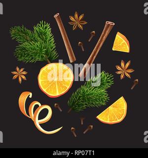 Vector. Large set of spices, orange, fir branches Stock Vector