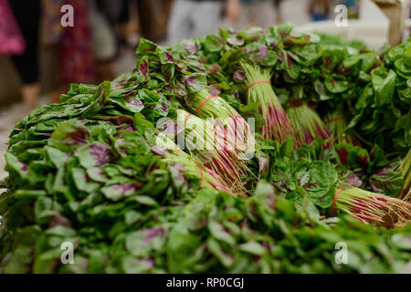 Bunches of Chinese spinach