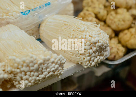 Enoki or Golden needle mushrooms Stock Photo