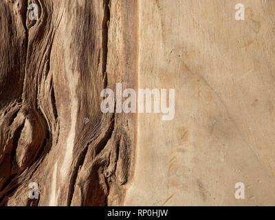 modern arsh solid texture of the natural vintage rustic solid wood. Background Stock Photo