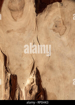modern arsh solid texture of the natural vintage rustic solid wood. Background Stock Photo