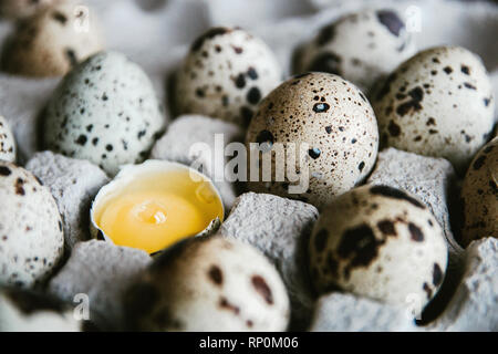 Quail eggs in cardboard packaging. Yolk of quail eggs without shell. Stock Photo