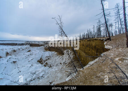 A huge thermokarst crater showing the damage to the permafrost and our climate,  Batagay, Russia Stock Photo