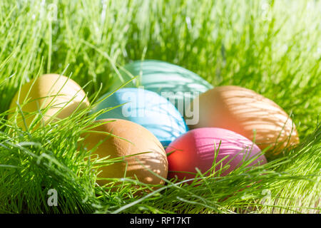 Easter colorful eggs in spring green grass in sunlight floral abstract background Stock Photo