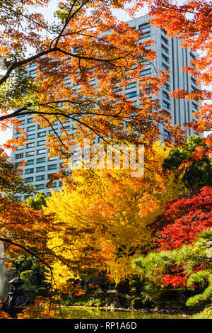 Japan, Honshu, Tokyo, Hibiya, Hibiya Park, Autumn Leaves Stock Photo
