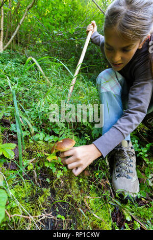 Young girl picking edible mushroom in the woods, Sondrio province, Valtellina, Lombardy, Italy Stock Photo