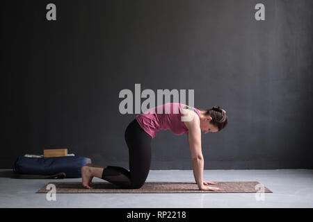 Woman working out ag doing yoga or pilates exercise. Cat, Marjaryasana Stock Photo