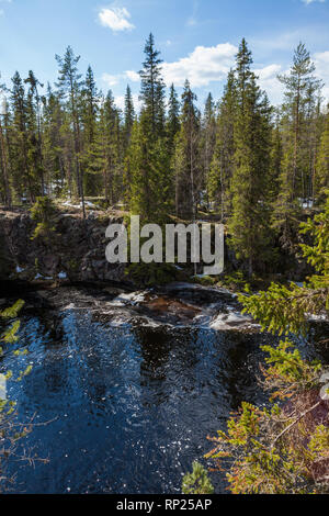 Flooding river and piece of ice in forest Stock Photo