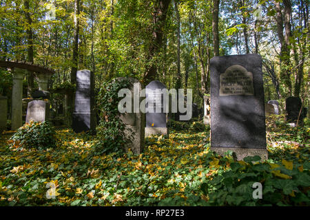 The famous Weissensee Jewish cemetery in Berlin, Germany. Cemetery layout and detail. Stock Photo