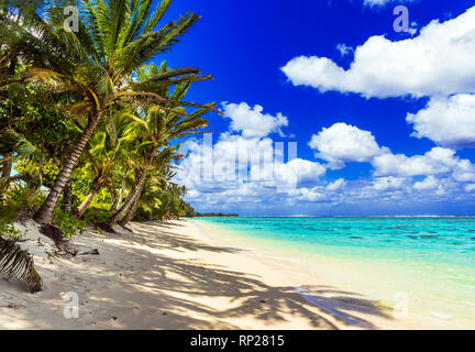 View of the sandy beach, Cook Islands, South Pacific. Copy space for text Stock Photo