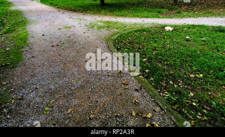 Park curved soil pathways with trees and green low grass.  Panorama photo. Tritsis park in Athens, Greece. Stock Photo