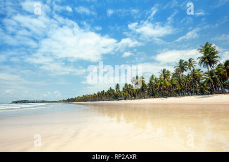 South America, Brazil, Tinhare, Boipeba island Stock Photo