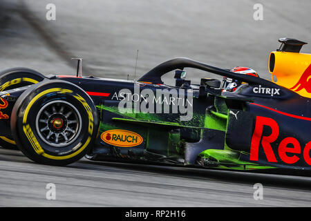 Barcelona, Spain. 19th Feb, 2019. 10 GASLY Pierre (fra), Aston Martin Red Bull Racing Honda RB15, action during Formula 1 winter tests from February 18 to 21, 2019 at Barcelona, Spain - : FIA Formula One World Championship 2019, Test in Barcelona, Credit: dpa/Alamy Live News Stock Photo