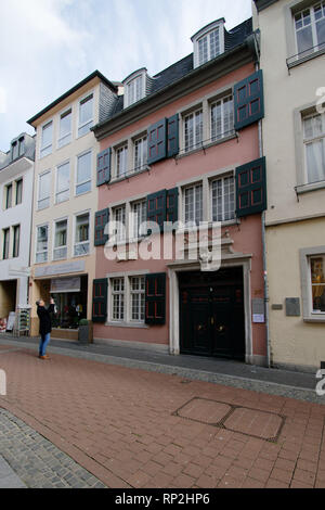 Bonn, Germany. 20th Feb, 2019. The Beethoven House is in the old town. The composer's birthplace will be closed for conversion and expansion from 28 February. Credit: Henning Kaiser/dpa/Alamy Live News Stock Photo