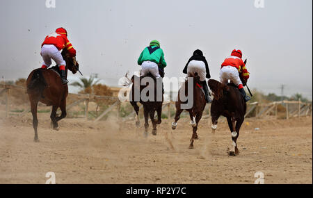 (190221) -- JERICHO, Feb. 21, 2019 (Xinhua) -- Palestinian equestrians ride their horses during a local competition in the West Bank city of Jericho, on Feb. 15, 2019. Once every two weeks prior to spring time in the West Bank, hundreds of Arabian horses and their riders gather at a horse riding competition for their spots in the 11th national championship scheduled for April. This year, nearly 200 original Arabian horses joined the qualification race which includes 13 categories. The equestrians need to ride their horses for a 1,000-meter race and compete for record timings. (TO GO WI Stock Photo