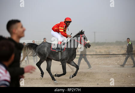 (190221) -- JERICHO, Feb. 21, 2019 (Xinhua) -- A Palestinian equestrian rides his horse during a local competition in the West Bank city of Jericho, on Feb. 15, 2019. Once every two weeks prior to spring time in the West Bank, hundreds of Arabian horses and their riders gather at a horse riding competition for their spots in the 11th national championship scheduled for April. This year, nearly 200 original Arabian horses joined the qualification race which includes 13 categories. The equestrians need to ride their horses for a 1,000-meter race and compete for record timings. (TO GO WIT Stock Photo