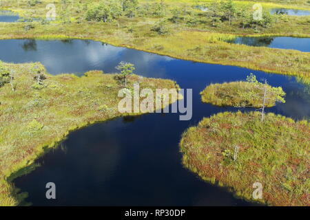 Image of swampy areas of northern Europe Stock Photo