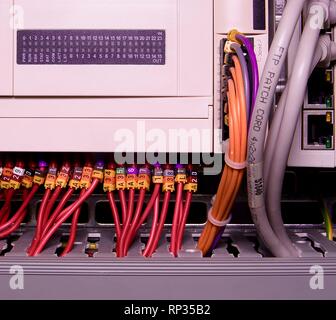 Network cables connected to switch - close up of data center hardware. Multi colored wires. Stock Photo