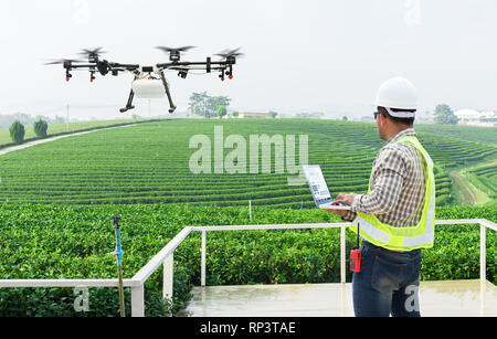 Technician farmer use wifi computer control agriculture drone fly to sprayed fertilizer on the tea fields Stock Photo