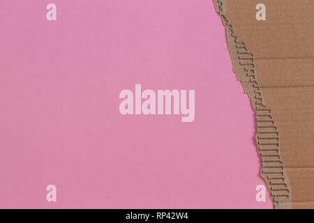 Piece of corrugated cardboard with torn paper edge on pink background Stock Photo
