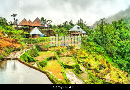 Banaue village on Luzon island, Philippines Stock Photo