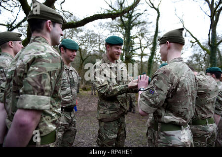 The Duke of Sussex carries out a Green Beret presentation during a visit to 42 Commando Royal Marines at their base in Bickleigh. Stock Photo