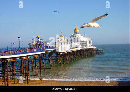 Seagull flying in front of the Eastbourne Pier Stock Photo