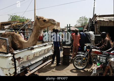 NIGER Zinder, market, camel on Peugeot pick-up / NIGER Zinder, Markt, Kamel auf Pick-up Stock Photo