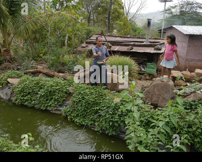 El Salvador  JDS projects in Jujutla.  Family of Alvaro Tejada (60), his wife Agripina Castillo (34) with their daughter Fatima Tejada (6), in village of Los Vasquez, Jujutla. Feeding tilapia fish in pond. Stock Photo