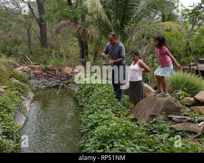 El Salvador  JDS projects in Jujutla.  Family of Alvaro Tejada (60), his wife Agripina Castillo (34) with their daughter Fatima Tejada (6), in village of Los Vasquez, Jujutla. Feeding tilapia fish in pond. Stock Photo