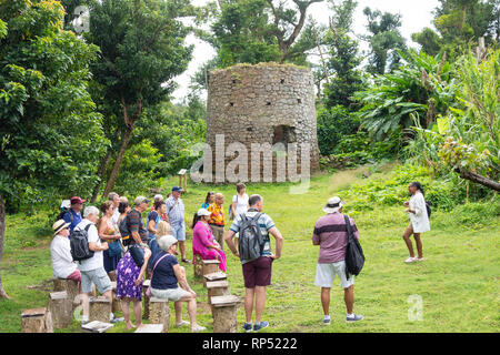 Tour group by The Windmill (1770), Bois Cotlette Plantation, Morne Plat Pays, Saint Mark Parish, Dominica, Lesser Antilles, Caribbean Stock Photo