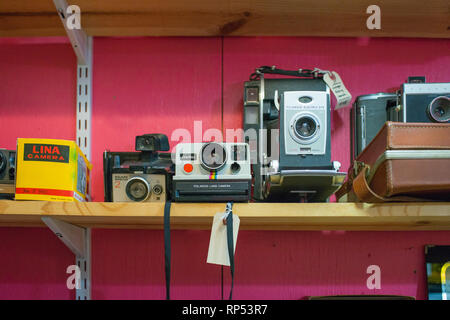 A collection of vintage cameras are displayed for sale at an antique store.