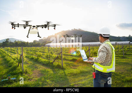 Technician farmer use wifi computer control agriculture drone fly to sprayed fertilizer on grape field, Smart farm concept Stock Photo