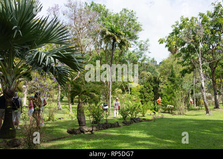 Saint Vincent Botanical Gardens, Kingston, Saint Vincent and the Grenadines, Lesser Antilles, Caribbean Stock Photo