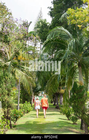 Saint Vincent Botanical Gardens, Kingston, Saint Vincent and the Grenadines, Lesser Antilles, Caribbean Stock Photo