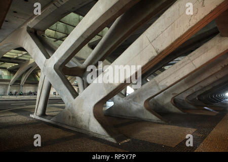 Subterranean lattice of reinforced concrete supporting on the Gare do Oriente (Oriente Station) designed by Spanish architect Santiago Calatrava (1994) in Lisbon, Portugal. Stock Photo