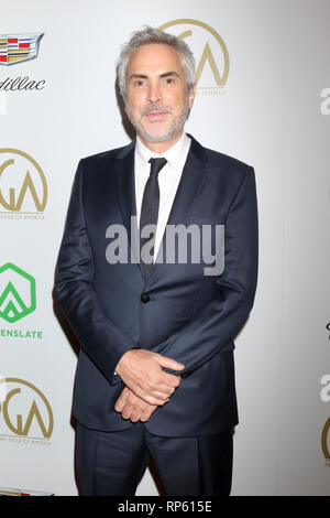 2019 Producers Guild Awards at the Beverly Hilton Hotel on January 19, 2019 in Beverly Hills, CA  Featuring: Alfonso Cuaron Where: Beverly Hills, California, United States When: 20 Jan 2019 Credit: Nicky Nelson/WENN.com Stock Photo